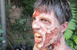 Walking Dead - Season 2
